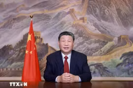 越共中央总书记苏林和中共中央总书记、国家主席习近平。图自越通社