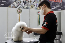 越南宠物市场吸引韩国企业目光。图自越通社