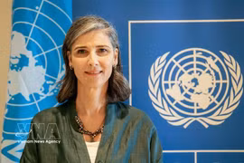 UNDP驻越首席代表拉姆拉·哈利迪。图自越通社