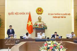 国会副主席武鸿青发表讲话。图自越通社