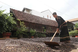 得乐省做好埃地族同胞长屋保护弘扬与社区旅游发展两手抓
