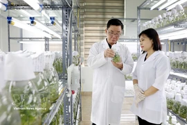 新兴技术和战略技术领域的发展成为越南经济的增长动力