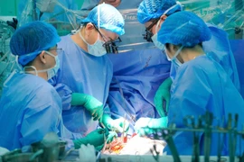 胡志明市医药大学附属医院医生进行器官移植手术。图自越通社