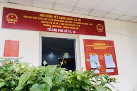 为了实现新阶段的发展目标，越南国会及各级人民议会的地位与作用至关重要。图自Vietnam+