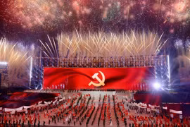 庆祝越南共产党第十四次全国代表大会取得圆满成功的烟花燃放活动。图自越通社