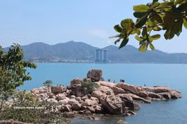 庆和省着力打造“越南摄影之城”。图自越通社