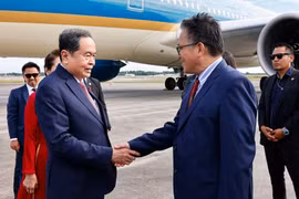越南国会主席陈青敏开始出席AIPA-46并对马来西亚进行正式访问。图自越通社