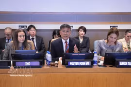 越南外交部常务副部长阮明羽主持座谈会。图自越通社
