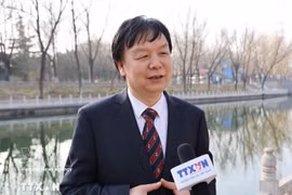 北京外国语大学教授，东南亚研究中心主任米良教授。图自越通社