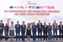与会代表合影。图自越通社