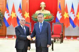 越共中央总书记与柬埔寨国王诺罗敦·西哈莫尼。图自越通社