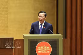 国会经济与财政委员会主任潘文买汇报关于多项法律草案的审查报告。图自越通社