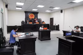 段宝珠因煽动颠覆国家政权罪被判处有期徒刑7年。图自越通社