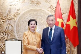 越共中央总书记苏林会见柬埔寨驻越大使谢金塔。图自越通社