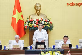 越南国会主席陈青敏主持会议并致开幕词。图自越通社