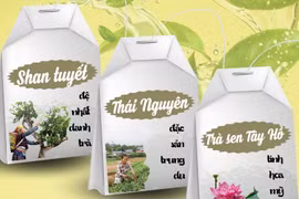让越南茶文化走向世界