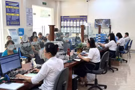 河内市专美乡干部和公职人员全心全意为民服务，为群众提供便利。图自越通社