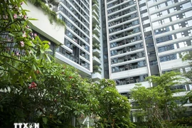 绿色建筑加速发展，越南在LEED排名中大幅攀升。图自越通社