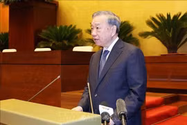 越共中央总书记苏林出席会议并发表指导性讲话。图自越通社