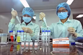 附图。图自越通社