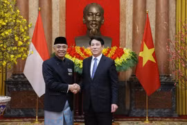 越南国家主席梁强接受印度尼西亚特命全权大使递交的国书。图自越通社