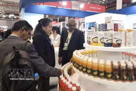 国际买家在2025年越南国际采购展（Viet Nam International Sourcing 2025）上了解越南产品。图自越通社
