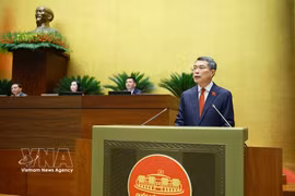 越南政府总理黎明兴发表讲话。图自越通社