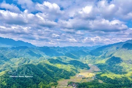 凭借海拔1700米的高度，普良（Pu Luong）山顶正逐渐成为徒步旅游（Trekking）的理想目的地。图自越通社