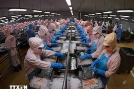 越南-新加坡水产品贸易前景广阔。图自越通社