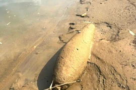 宣光省军事指挥部与地方政府及职能部门配合，成功迁移并安全销毁了一枚战后残留炸弹。图自越通社