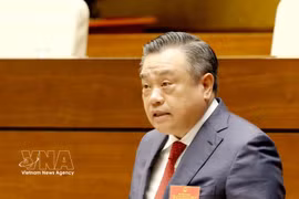 越共中央政治局委员、中央书记处书记、中央检查委员会主任陈士青。图自越通社