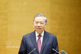 越共中央总书记、国家主席苏林出席会议并发表指导性讲话。图自越通社