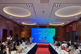 研讨会现场。图自越通社