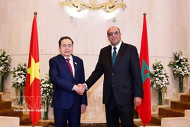 越南国会主席陈青敏会见摩洛哥参议院议长穆罕默德·乌尔德·埃拉希德（2025年7月25日）。图自越通社