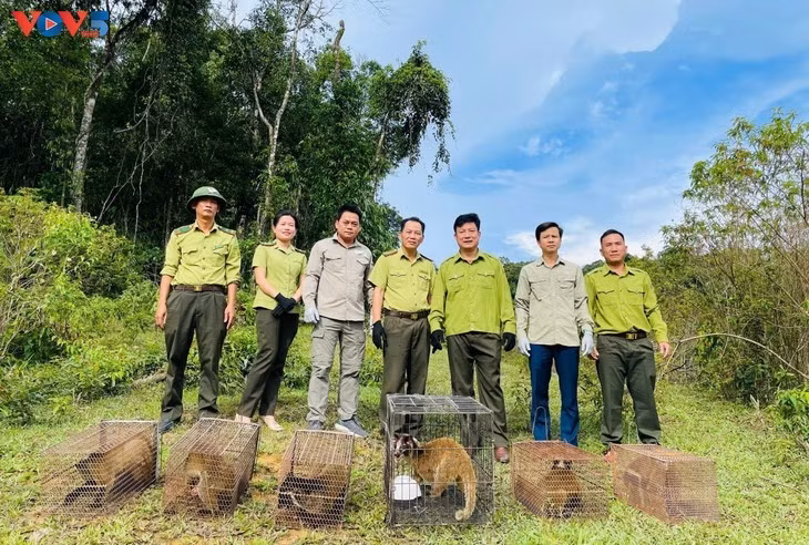 vov5-khampha-anh21-zemg.jpg