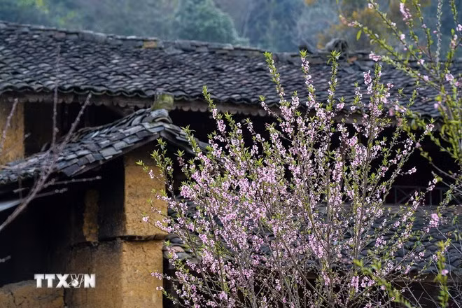 0610-nha-trinh-tuong-nguoi-lo-lo.jpg
