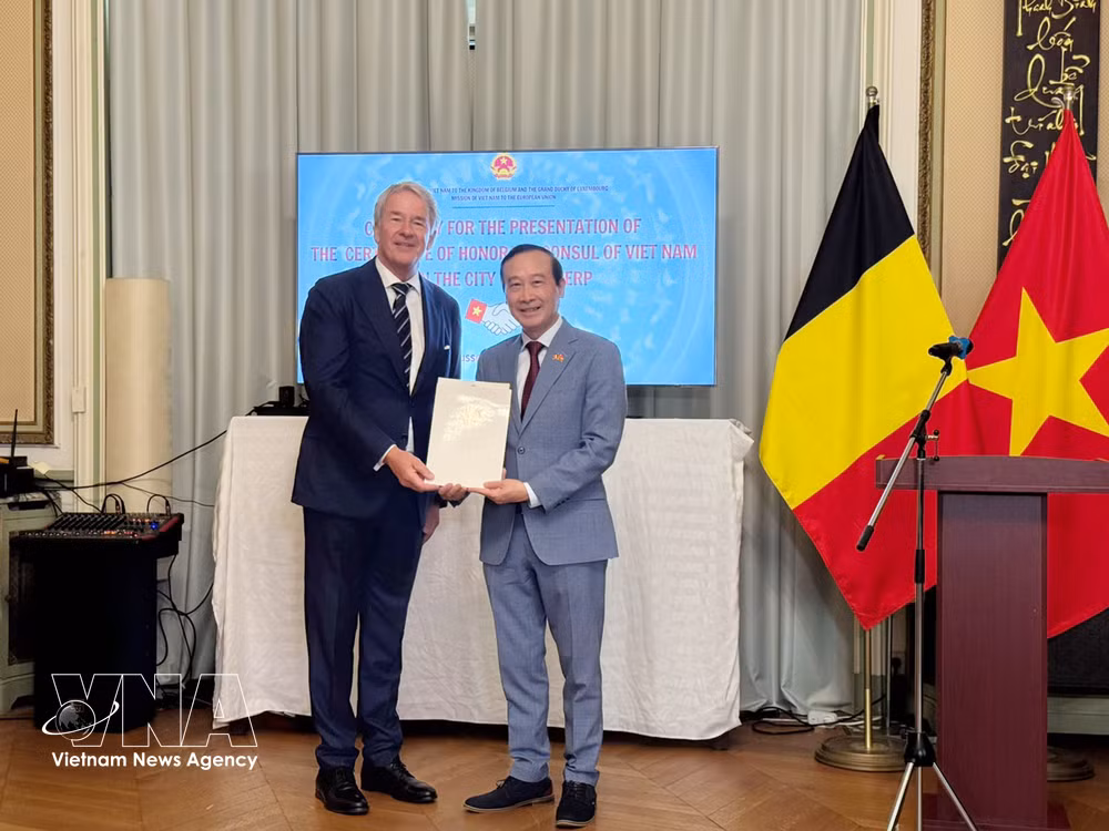 vnanet-viet-nam-bo-nhiem-lanh-su-danh-du-moi-tai-antwerp-vuong-quoc-bi-8849067.jpg