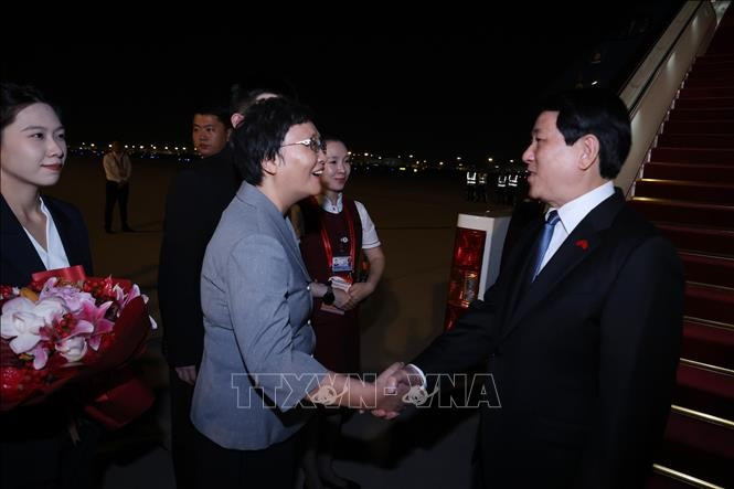 中国人力资源和社会保障部部长王晓萍到机场迎接国家主席梁强。图自越通社