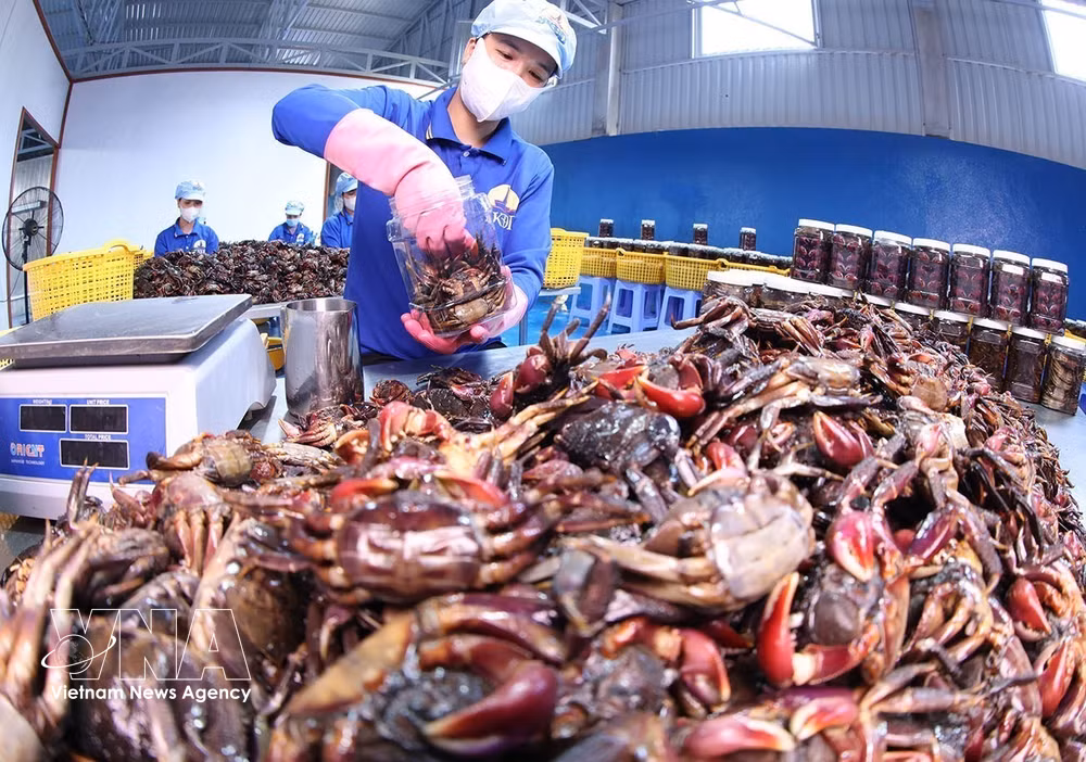 vnanet-htx-lam-nong-cot-trong-phat-trien-kinh-te-tu-nhan-o-ca-mau-8707862.jpg