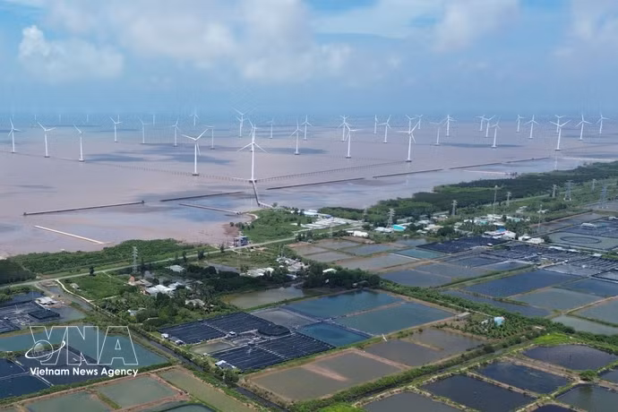 金瓯省东海乡海上风电项目。图自越通社