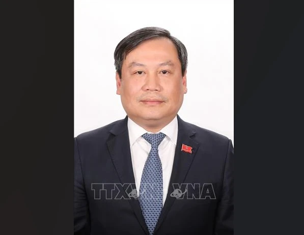 武大胜担任河内市委副书记。图自越通社