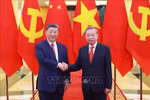 越共中央总书记苏林与共中央总书记、国家主席习近平。图自越通社