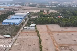 附图 图自越通社