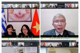 越南驻希腊大使馆组织线上对接会 图自越通社