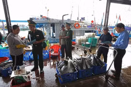 边防部队与有关职能力量联合开展宣传活动，向庆和省南芽庄坊鸿若渔港的渔民宣传相关规定。图：越通社