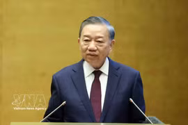 越共中央总书记、国家主席苏林发表讲话 图自越通社
