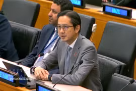 越南常驻联合国代表团团长杜雄越大使发表讲话 图自越通社