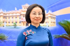 越南驻丹麦大使阮黎青 图自越通社