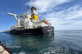 希腊籍矿砂运输船“Merchant Mariner”号，载有超过17.4万吨铁矿石及约3000吨柴油，事发时位于广义省容橘海域。图片来源：越通社