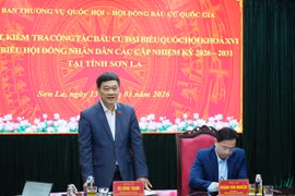 国会和人民议会选举：国会副主席武鸿青强调确保安全、高效服务